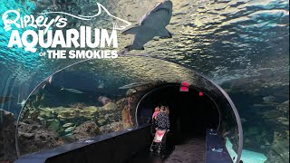 Ripleys Aquarium Of The Smokies Gatlinburg Tour amp Review with The Legend [upl. by Leopoldine]