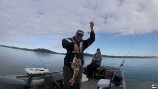 Catch and Cook Sea Robin Gurnard wRoasted Corn Relish [upl. by Murdock]