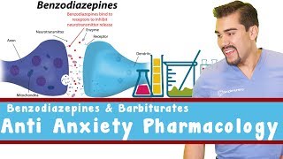 Anti Anxiety Pharmacology Benzodiazepines and Barbiturates [upl. by Nnov427]