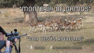 quot MONTERÍA DE GAMOS CON JESUS RIQUELME quot [upl. by Neraa]