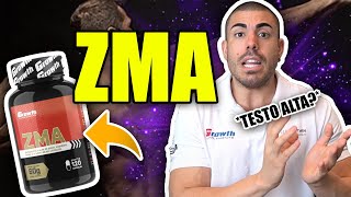 Tudo sobre zma aumenta a testo [upl. by Naesal]