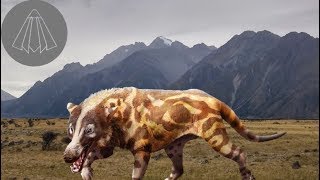 Andrewsarchus the Giant Hoofed Predator [upl. by Kennett45]