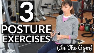 3 Physio Guided Posture Improvement Exercises GYM Based [upl. by Asseralc]