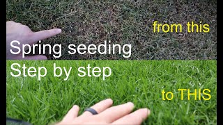 How to GROW GRASS in the SPRING successfully step by step [upl. by Roi]