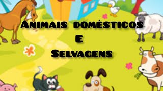 Animais domésticos e selvagens 🐈 [upl. by Audrye]