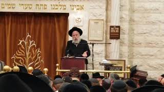 Rabbi Ephraim Wachsman Shavuos Song and Dancing 5778 [upl. by Nyvrem]