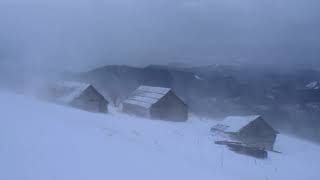 Fuerte tormenta de nieve  Tormenta de invierno en las montañas de Ucrania  Viento aullador [upl. by Issirk]