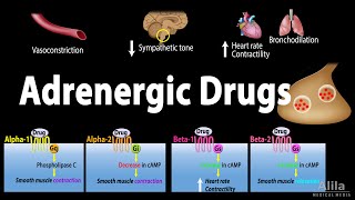 Adrenergic Drugs  Pharmacology Animation [upl. by Chilton]