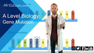 Gene mutation  A Level Biology [upl. by Siro]