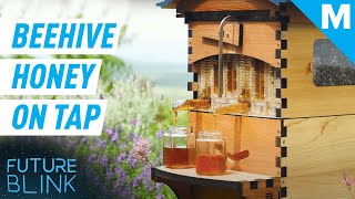 This Smart Beehive Harvests Honey Automatically  Future Blink [upl. by Aldous]