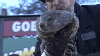 Groundhog Day 2021 Prediction Punxsutawney Phil sees his shadow [upl. by Aurora]