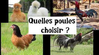 Quelles poules choisir [upl. by Herbert]