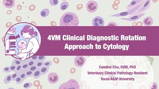 【Veterinary Cytology】Approach to Cytology [upl. by Garreth]