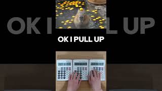 OK I PULL UP Capybara Song Calculator Cover [upl. by Oakman560]