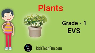 Plants  Grade 1  EVS Environmental Studies CBSE Curriculum [upl. by Aihsyla]