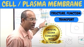 Cell or Plasma Membrane  Structure  Function amp Transport🧬 [upl. by Lipski]