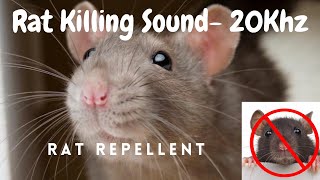 Anti Rat Repellent  Mouse Killer Sound  Very High Pitch Sound  20Khz  Kill Rats using mobile [upl. by Wise]