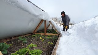 Como hacer INVERNADERO CASERO  Súper Resistente al frio y nieve [upl. by Ajup]