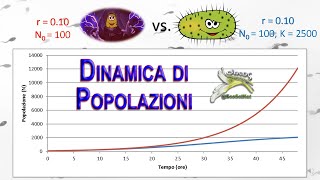 Dinamica delle Popolazioni in Ecologia [upl. by Ahtnamys877]