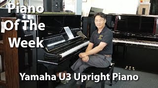 Piano of the Week Yamaha U3 Upright Piano  Cunningham Piano Company [upl. by Squire]