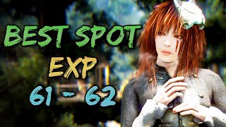 The BEST Grinding Spots for lvl 6162  43 Areas Tested for EXP amp SP  Black Desert Online [upl. by Gifferd443]