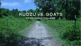 Kudzu No Problem Were bringing in the goats [upl. by Cayla]