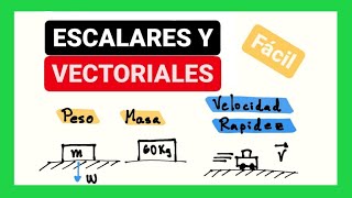 Magnitudes escalares y vectoriales [upl. by Nivahb]