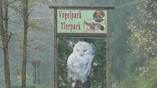 Vogelpark Abensberg [upl. by Aria]