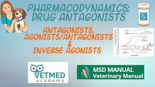 Drug Antagonists AgonistAntagonists and Inverse Agonists [upl. by Hoes]