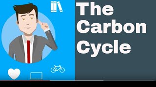 Explain the Carbon Cycle [upl. by Rehpetsirhc461]