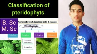 Classification of pteridophyts [upl. by Latin]