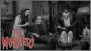 Whats Hermans Talent  The Munsters [upl. by Wharton115]