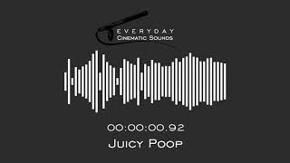 Juicy Poop  HQ Sound Effect [upl. by Angle]