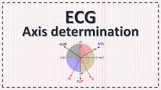 EKG Basics  How to Read amp Interpret EKGs Updated Lecture [upl. by Merceer]