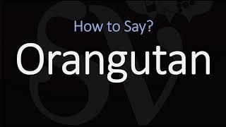 How to Pronounce Orangutan CORRECTLY [upl. by Jenni]