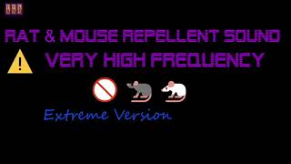 ⚠️Extreme Version 🚫🐀🐁 Rat amp Mouse Repellent Sound Very High Frequency 6 Hour [upl. by Sevy]