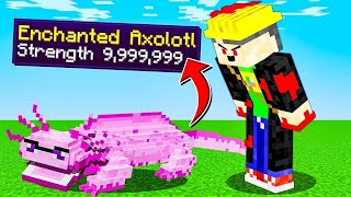 minecraft but you can enchant axolotls [upl. by Pressey421]