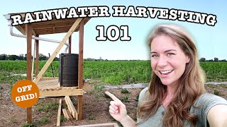 RAINWATER COLLECTION FOR BEGINNERS  16 Things To Know About Harvesting Rain Water BEFORE You Start [upl. by Hanselka]