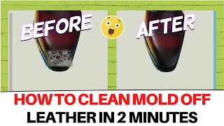 How To Clean Mold Off Leather in 2 Minutes [upl. by Kiyohara]