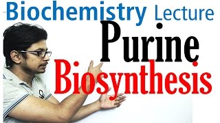 Purine biosynthesis [upl. by Ennylcaj824]