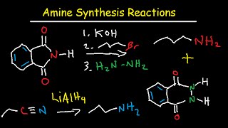 Amine Synthesis Reactions Organic Chemistry  Summary amp Practice Problems [upl. by Weldon]