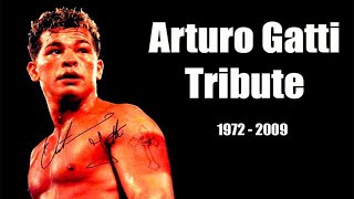 Arturo Gatti Highlights amp Knockouts  The Thunder Tribute [upl. by Cory]