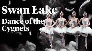 Swan Lake  Dance of the Cygnets [upl. by Esille]