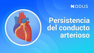 Conducto Arterioso Persistente Perro [upl. by Tirb]