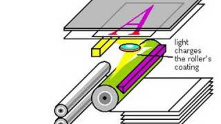 How Photocopiers Work [upl. by Kcirrez569]