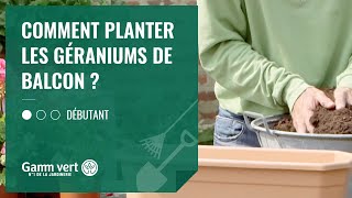 TUTO Comment planter les géraniums de balcon  – Jardinerie Gamm vert [upl. by Dlarrej783]