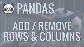 Python Pandas Tutorial Part 6 AddRemove Rows and Columns From DataFrames [upl. by Eissehc]