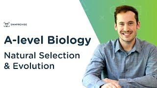 Natural Selection amp Evolution  Alevel Biology  OCR AQA Edexcel [upl. by Aniad35]