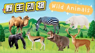 1分钟 中文课堂｜学 动物名称2｜中文 动画｜認識 動物｜1分鐘 中文課堂｜Animal Name in Chinese｜认 动物 [upl. by Adiaz]