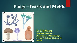 Fungi  Yeast and Molds  Dr C R Meera [upl. by Glanville]